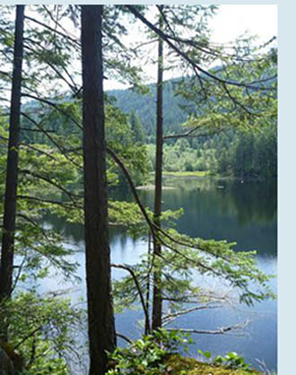 Photo of Grafton Lake.